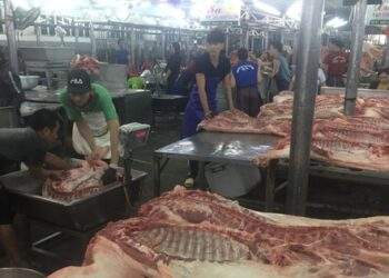 Thông tin đáng chú ý từ chợ đầu mối