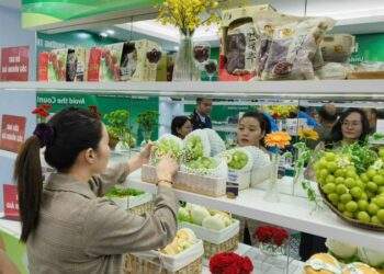 Ứng dụng AI vào kiểm soát trước bối cảnh hàng giả thay áo ngày càng tinh vi