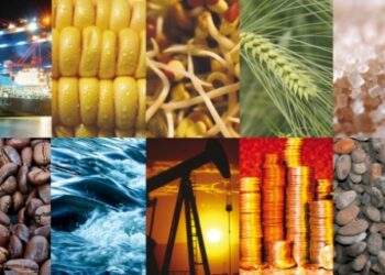 Ứng dụng công nghệ số trong quản lý và thực hiện pháp luật về mua bán hàng hóa qua sở giao dịch hàng hóa