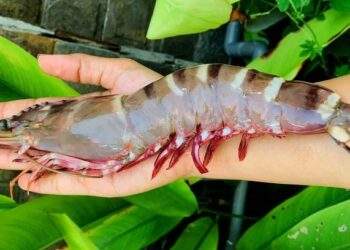 Vietnam’s exports to US soar to record levels