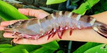 Vietnam’s exports to US soar to record levels