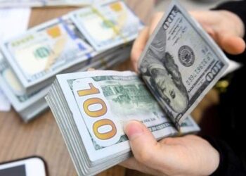 Dollar rises against dong on black market