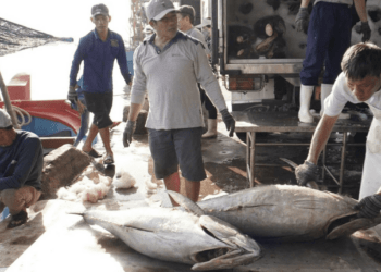 Ba ‘siêu cường’ vung tiền gom mua, dự báo điều chưa từng có với thế mạnh Việt