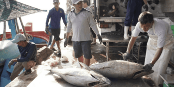 Ba ‘siêu cường’ vung tiền gom mua, dự báo điều chưa từng có với thế mạnh Việt