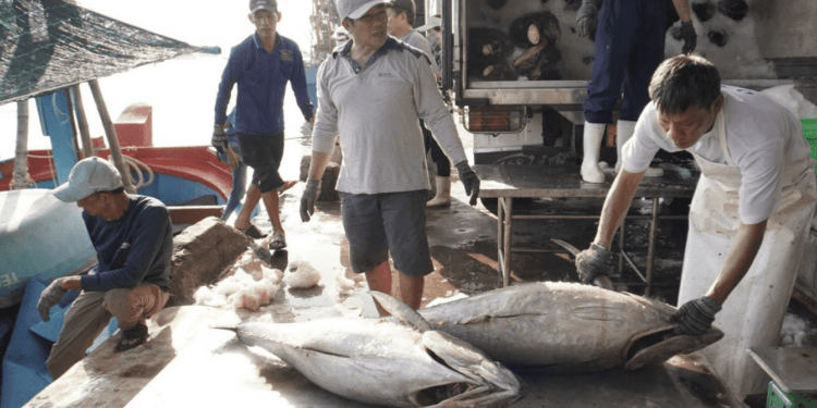 Ba ‘siêu cường’ vung tiền gom mua, dự báo điều chưa từng có với thế mạnh Việt