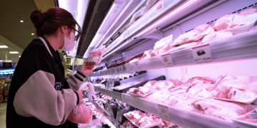 Buộc tiêu huỷ 1,23 triệu con lợn, Tết Nguyên đán giá thịt lợn có thể tăng mạnh