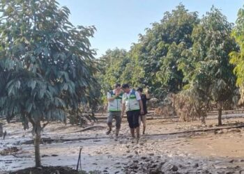 Có đơn vị bồi thường gần 300 tỷ đồng