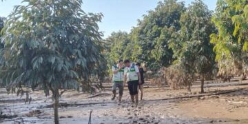 Có đơn vị bồi thường gần 300 tỷ đồng