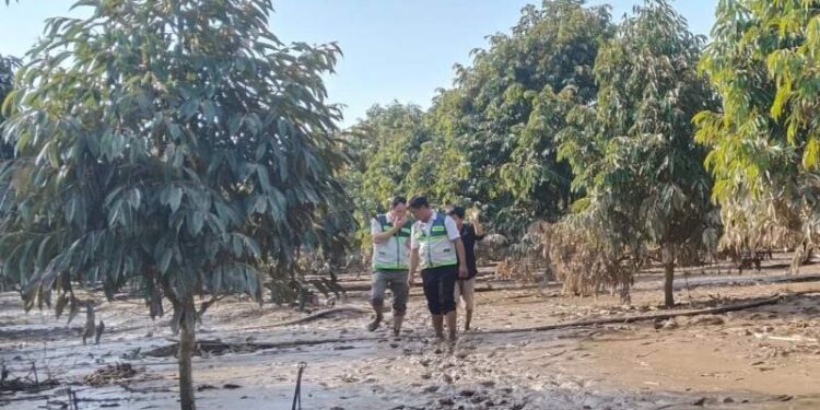 Có đơn vị bồi thường gần 300 tỷ đồng