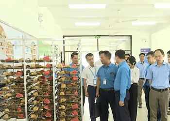 Công đoàn Việt Nam chú trọng xây dựng đội ngũ cán bộ chuyên trách