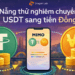 Đà Nẵng cấp phép cho 1 công ty thử nghiệm chuyển đổi tài sản số (USDT) tại 3 nơi