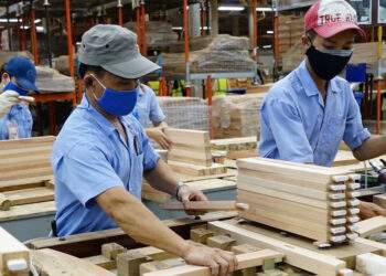 Doanh nghiệp gỗ lúng túng khi doanh thu đạt ngàn tỷ, đổ tiền vào chuyển đổi số