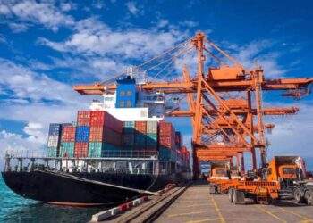 Nhiều nguồn thu từ nhập khẩu (thuế) đã góp phần tăng thu ngân sách của tỉnh Đồng Nai. Ảnh minh họa