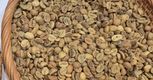 Giảm phiên thứ 6 liên tiếp