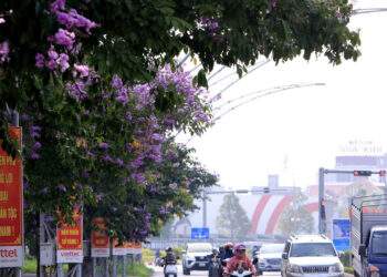 Hạc Thành đặt mục tiêu trở thành phường kiểu mẫu của Thanh Hóa