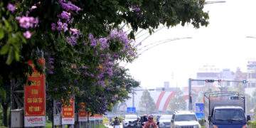 Hạc Thành đặt mục tiêu trở thành phường kiểu mẫu của Thanh Hóa