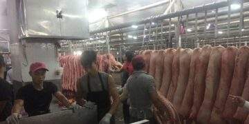 Heo mảng tại chợ đầu mối lập đỉnh mới