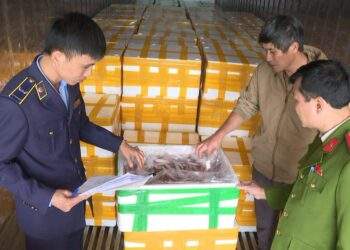 Lực lượng chức năng thu giữ lô hàng cá khoai chứa formol. Ảnh: Công an tỉnh Thanh Hoá.