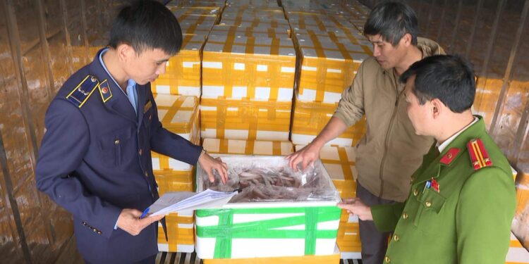 Lực lượng chức năng thu giữ lô hàng cá khoai chứa formol. Ảnh: Công an tỉnh Thanh Hoá.