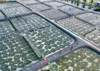 Kinh tế tuần hoàn - Giải pháp cho phát triển bền vững