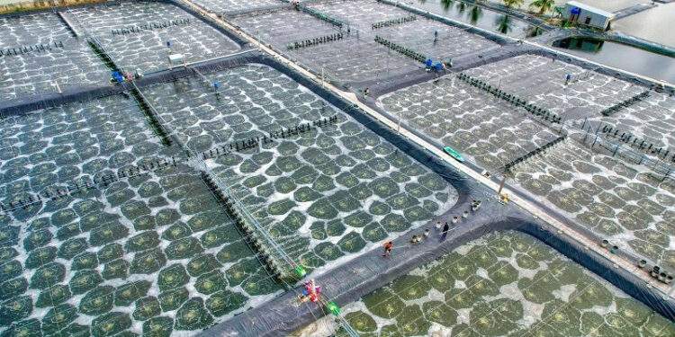 Kinh tế tuần hoàn - Giải pháp cho phát triển bền vững