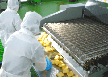 Kowa đầu tư nhà máy thực phẩm ‘triệu đô’ ở Việt Nam