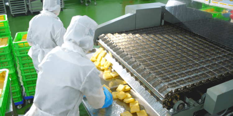 Kowa đầu tư nhà máy thực phẩm ‘triệu đô’ ở Việt Nam