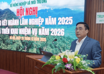 Thứ trưởng Nguyễn Quốc Trị: lâm nghiệp không phải là ngành “giữ nhịp” hay tăng trưởng thấp, mà đang sở hữu dư địa đáng kể để bứt lên...