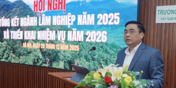 Thứ trưởng Nguyễn Quốc Trị: lâm nghiệp không phải là ngành “giữ nhịp” hay tăng trưởng thấp, mà đang sở hữu dư địa đáng kể để bứt lên...