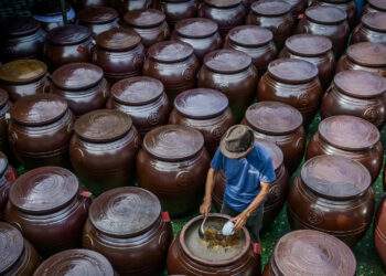 Người dân Ninh Bình tất bật làm nước mắm phục vụ thị trường Tết