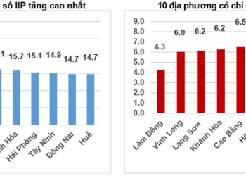 Tốc độ tăng, giảm IIP mười một tháng năm 2025 so với cùng kỳ năm trước của một số địa phương (%). Nguồn: Cục Thống kê.
