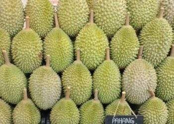 Singapore sees $30 all-you-can-eat Musang King durian buffet for year-end holiday