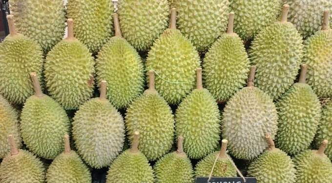 Singapore sees $30 all-you-can-eat Musang King durian buffet for year-end holiday