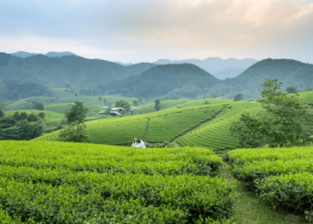 Swedfund invests in MSME growth and climate action in Vietnam