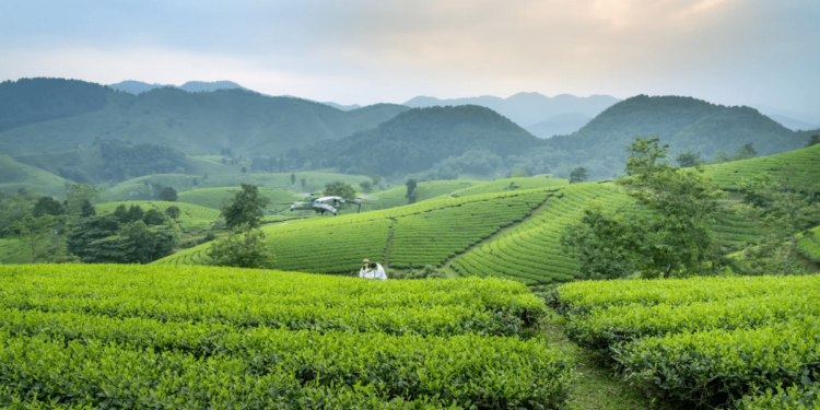 Swedfund invests in MSME growth and climate action in Vietnam