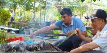 Tân Hòa – Xã đầu tiên của Cần Thơ tiên phong phát triển du lịch cộng đồng bền vững