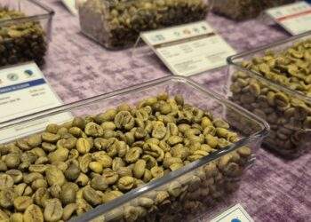 Tăng nhưng nông dân ít mở rộng diện tích