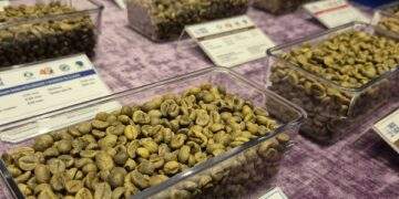 Tăng nhưng nông dân ít mở rộng diện tích