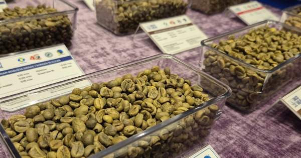 Tăng nhưng nông dân ít mở rộng diện tích