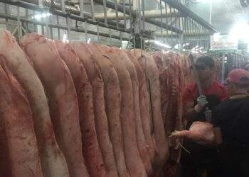 Thịt heo tại chợ cũng tăng vọt