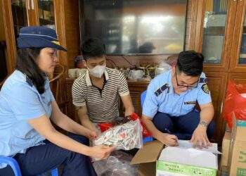 Ứng dụng công nghệ truy quét hàng giả, hàng nhái trên sàn thương mại điện tử