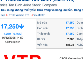 Vì sao Viettronics Tân Bình giảm sàn 5 phiên sau khi đại gia Vũ Văn Tiền thâu tóm?