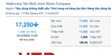 Vì sao Viettronics Tân Bình giảm sàn 5 phiên sau khi đại gia Vũ Văn Tiền thâu tóm?
