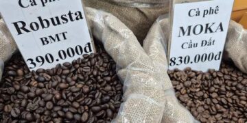 Việt Nam là nguồn cung cà phê số 1 cho Tây Ban Nha