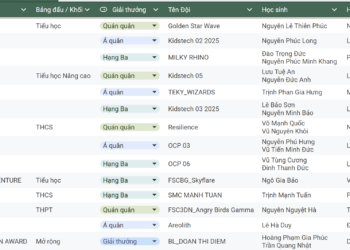 Danh sách các hạng mục đạt giải thưởng Enjoy AI 2025.