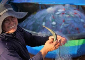 Vietnam’s trade turnover hits record $920B