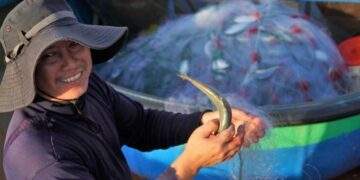 Vietnam’s trade turnover hits record $920B