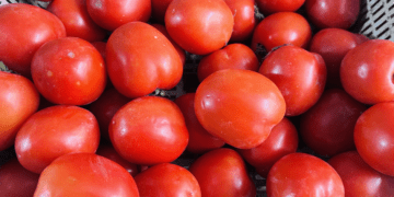 Vọt lên 85.000 đồng/kg vẫn ‘cháy hàng’