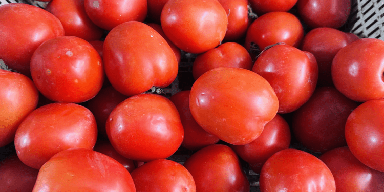 Vọt lên 85.000 đồng/kg vẫn ‘cháy hàng’