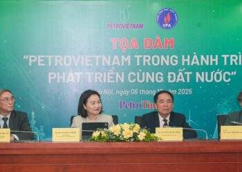 hình mẫu doanh nghiệp quốc gia trong hành trình phát triển đất nước